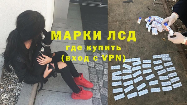 твердый Абаза