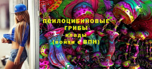 мдпв Абдулино